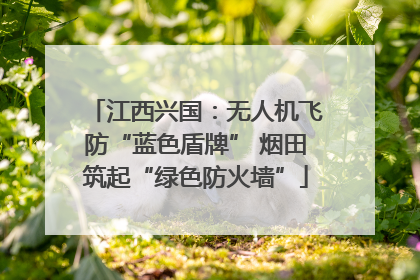 江西兴国：无人机飞防“蓝色盾牌” 烟田筑起“绿色防火墙”