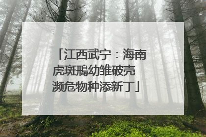 江西武宁：海南虎斑鳽幼雏破壳 濒危物种添新丁