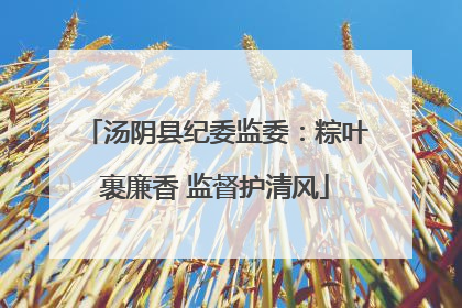 汤阴县纪委监委：粽叶裹廉香 监督护清风