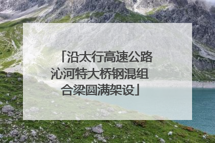 沿太行高速公路沁河特大桥钢混组合梁圆满架设