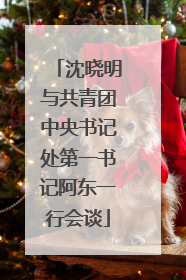 沈晓明与共青团中央书记处第一书记阿东一行会谈