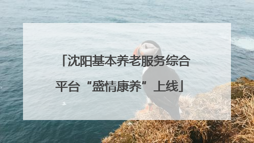 沈阳基本养老服务综合平台“盛情康养”上线