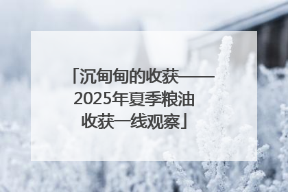 沉甸甸的收获——2025年夏季粮油收获一线观察