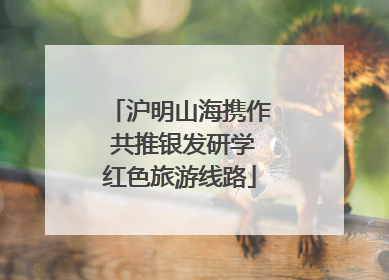 沪明山海携作 共推银发研学红色旅游线路
