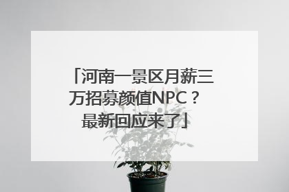 河南一景区月薪三万招募颜值NPC？最新回应来了
