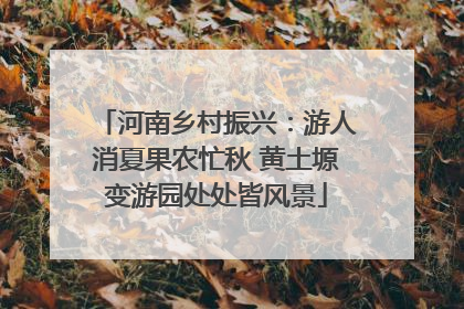 河南乡村振兴：游人消夏果农忙秋 黄土塬变游园处处皆风景