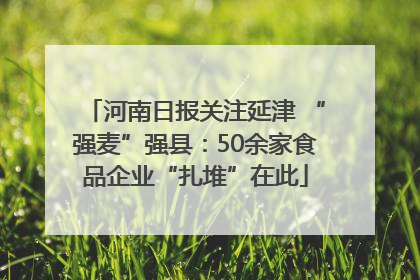 河南日报关注延津 “强麦”强县：50余家食品企业“扎堆”在此