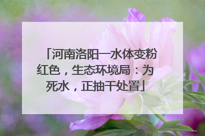 河南洛阳一水体变粉红色，生态环境局：为死水，正抽干处置
