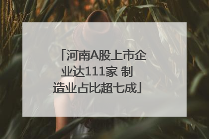 河南A股上市企业达111家 制造业占比超七成