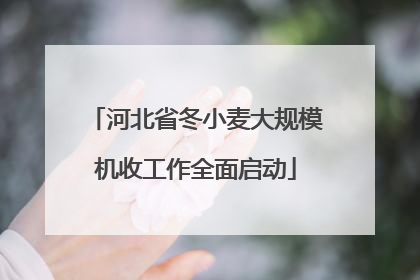 河北省冬小麦大规模机收工作全面启动