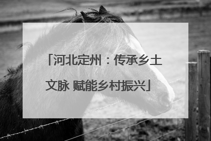 河北定州：传承乡土文脉 赋能乡村振兴