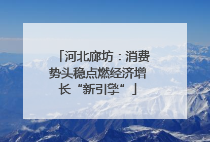 河北廊坊：消费势头稳点燃经济增长“新引擎”
