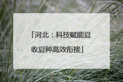 河北：科技赋能夏收夏种高效衔接