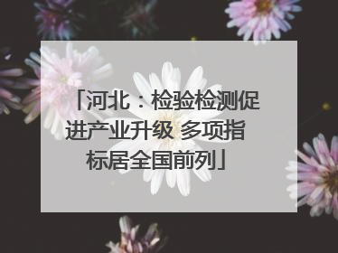 河北：检验检测促进产业升级 多项指标居全国前列