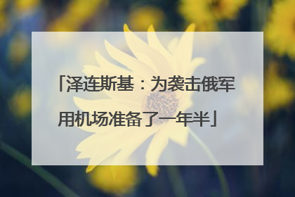 泽连斯基：为袭击俄军用机场准备了一年半