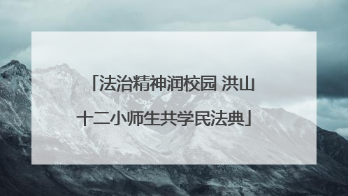 法治精神润校园 洪山十二小师生共学民法典
