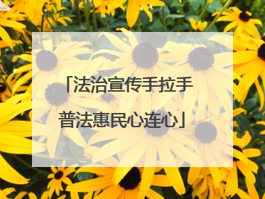 法治宣传手拉手 普法惠民心连心