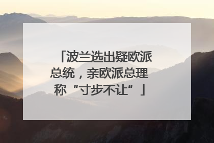 波兰选出疑欧派总统，亲欧派总理称“寸步不让”