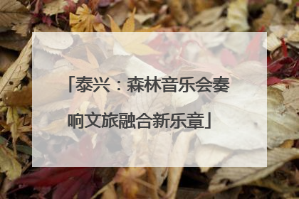 泰兴：森林音乐会奏响文旅融合新乐章
