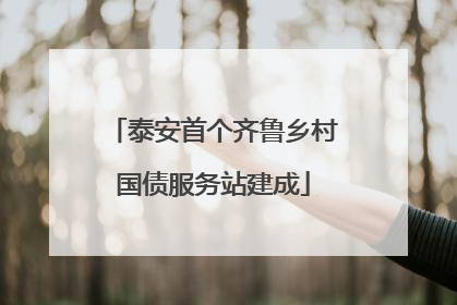 泰安首个齐鲁乡村国债服务站建成