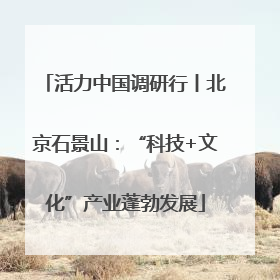 活力中国调研行丨北京石景山：“科技+文化”产业蓬勃发展