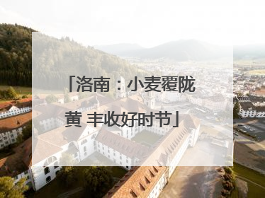 洛南：小麦覆陇黄 丰收好时节