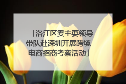 洛江区委主要领导带队赴深圳开展跨境电商招商考察活动