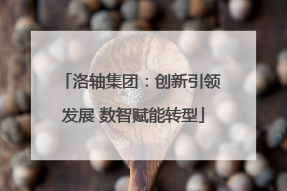 洛轴集团：创新引领发展 数智赋能转型