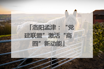 洛阳孟津：“党建联盟”激活“商圈”新动能