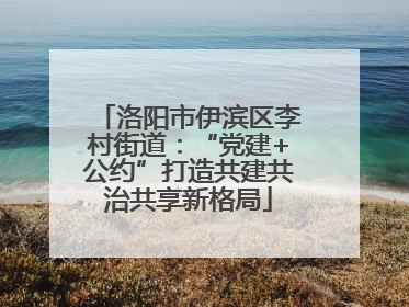 洛阳市伊滨区李村街道：“党建+公约”打造共建共治共享新格局