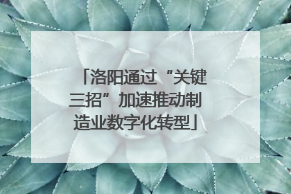 洛阳通过“关键三招”加速推动制造业数字化转型