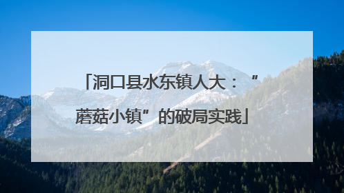 洞口县水东镇人大：“蘑菇小镇”的破局实践