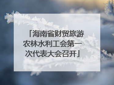 海南省财贸旅游农林水利工会第一次代表大会召开