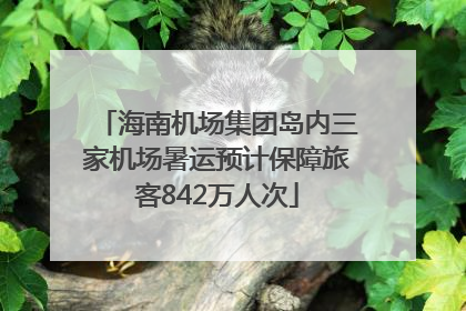 海南机场集团岛内三家机场暑运预计保障旅客842万人次