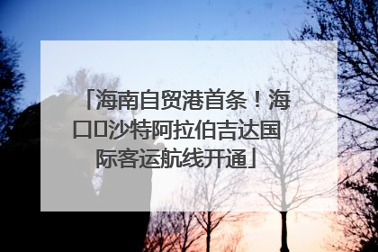 海南自贸港首条！海口⇌沙特阿拉伯吉达国际客运航线开通