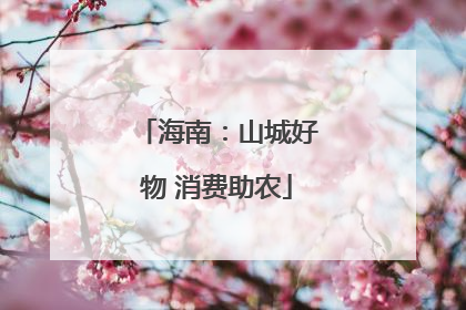 海南：山城好物 消费助农