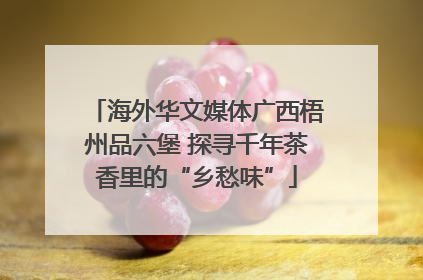 海外华文媒体广西梧州品六堡 探寻千年茶香里的“乡愁味”