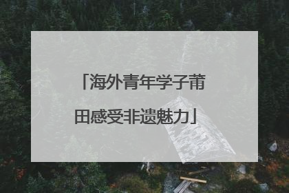 海外青年学子莆田感受非遗魅力