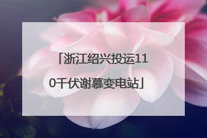 浙江绍兴投运110千伏谢慕变电站