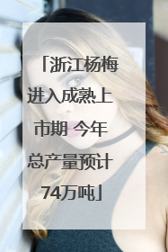 浙江杨梅进入成熟上市期 今年总产量预计74万吨