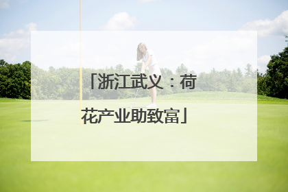 浙江武义：荷花产业助致富