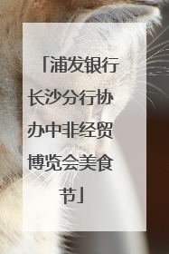 浦发银行长沙分行协办中非经贸博览会美食节