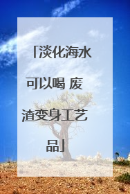 淡化海水可以喝 废渣变身工艺品