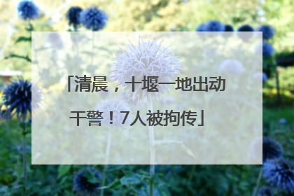 清晨，十堰一地出动干警！7人被拘传