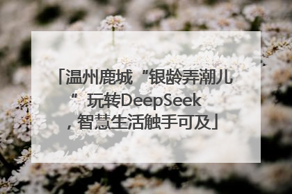 温州鹿城“银龄弄潮儿”玩转DeepSeek，智慧生活触手可及