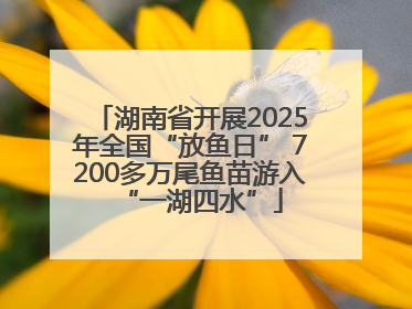 湖南省开展2025年全国“放鱼日” 7200多万尾鱼苗游入“一湖四水”