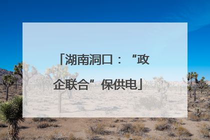 湖南洞口：“政企联合”保供电