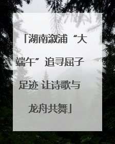 湖南溆浦“大端午”追寻屈子足迹 让诗歌与龙舟共舞