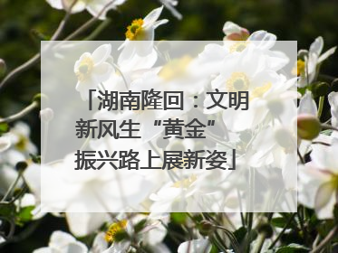 湖南隆回：文明新风生“黄金” 振兴路上展新姿