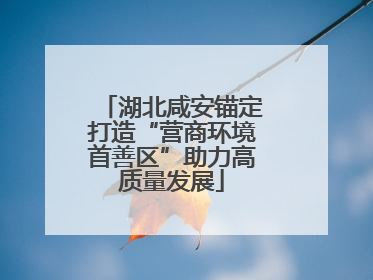 湖北咸安锚定打造“营商环境首善区”助力高质量发展